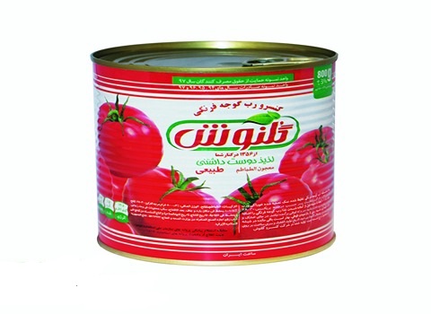 قیمت خرید رب گوجه فرنگی گلنوش + فروش ویژه